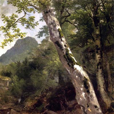 Landscapes