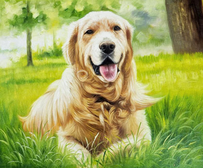 Dog Portraits