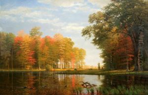 Autumn Woods
